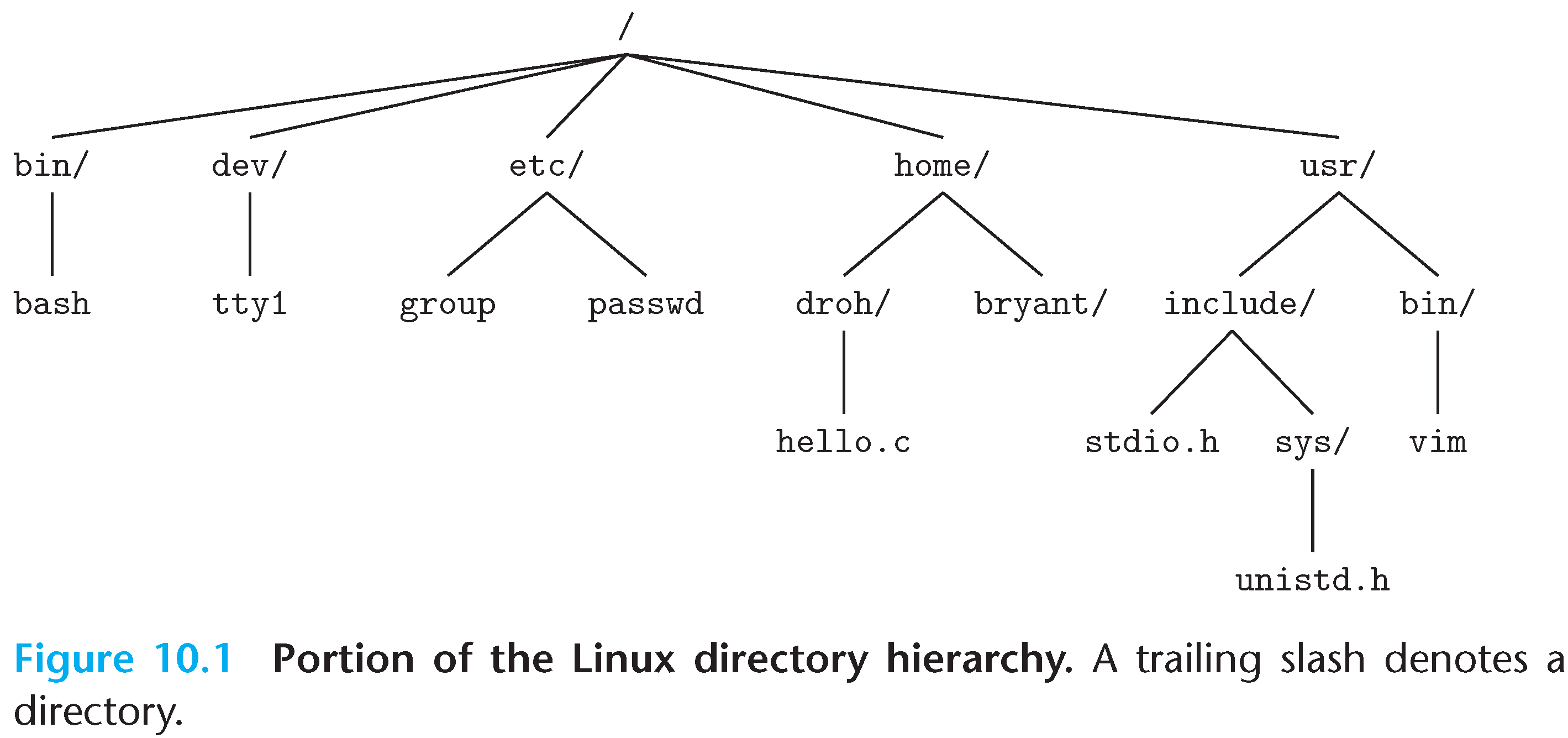 Directory Hierarchy